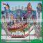 Cheap outdoor family playground rides Disco Tagada