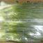 Spring Onions