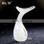 Christmas Gift Portable Rechargable Infared Vibrating Beauty Care Massager for Neck Beauty, Neck Wrinkle Remover