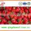 Export 25-35mm A13 Chinese Best quality Whole Fresh Strawberry