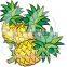 Palarich freeze dried fruit pineapple chips