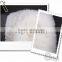 Organic Dried Desiccated Instant Coconut Water Powder
