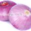 Supply/Sell Chinese Fresh Red Onion for Middle East 2016'