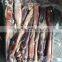 Todarodes pacificus squid tentacle tube whole round frozen