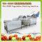 WA-2000 Commercial and Electric Type Fruits and Vegetable Washing Cleaning Machine with rotating drum