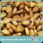 Organic Bitter Apricot Kernel / Apricot Kernel nut / Apricot Kernel