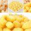 Industrial Corn Puffed Expanded Snacks Food Making Machine with Siemens