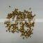 bee keeping equipment bee hive price bee hive frame eyelet