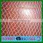long life quality guarantee agricultural fruit anti-bird netting
