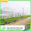 Aluminum Greenhouse Gutter Used for Agricture