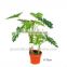 GNW G126 Wholesal Foliage Artificial Plant Indoor with green UV plastic leaves for aquariums