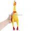 Factory direct wholesale pet vinyl sound vent chicken cock funny extract large.