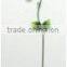 high qulity iron garden stake