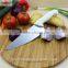 ZY-B1128 8 Inch Professional Chef Knife With Smooth PP Handle