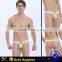Factory price  express sexy lingerie underwear panty young boy seamless thong
