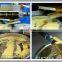 High oil yield oil making machine for sale with best price