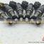 Renew Genuine Quality Fuel Injection OEM 23209-79155/23209-0C010