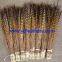 High Quality Ringneck Tail Feather