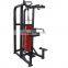 Bodybuilding Home Use High Quality Commercial Fitness Equipment Pin Loaded Assisted Chin/ Dip Machine