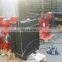 Original 4 cylinder 40kw/1500rpm  motor 4BT3.9-G for generator set