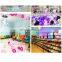 Release Balloons Luxury Wholesale Personalised 2021 Party Model Pink Decoration Christmas