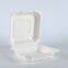 Disposable Biodegradable 9*9 Take away Sugarcane container