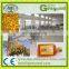 arabic date honey production line / jujube syrup processing line / date syrup making equipment