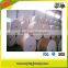 2016 Flexo Printing Paper Cup Fan for Paper Cups