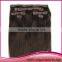 Unprocessed Malaysia Human Hair Remy Straight Clip In Hair Extension