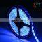 waterproof 5050SMD 5m led strip kits