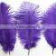 14"-16" Wholesale Purple Ostrich Feather Fabric For Ostrich Feather Fan Decoration