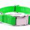 Custom pet dog collar with metal buckle