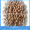 8-16mm expanded clay pebbles in gardening growing media