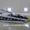 flexible led strip light , 12V/24V Led Strip Light SMD3528 5050