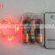 Remote Control 2M 20Led Mini Silver Color Copper Wire String Lights For Christmas Holiday Party