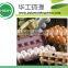 10 pulp egg carton mould
