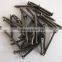 polish common nail