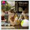 Color Changing Lamp Diffusers Ultrasonic Aromatherapy With Essential Oil