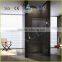 Aluminum 40mm adjustment pivot shower door EX-210