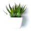 Potted Artificial Mini Succulent Plants