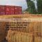 Coconut Fiber High quality_QQ: 2598494113