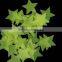fluorescent toys / Glow in the Dark star Sticker Packs / Fluorescent stickers