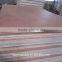 Natural Wood Veneer Commercial Plywood Board