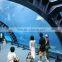 High quality tunnel perspex