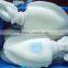 frozen cuttlefish whole clean iqf