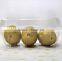 1.5kg Capacity Disposable Clear Plastic Container for Potato Vegetable