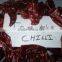 Tomato chillies from India