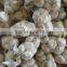 cheap chinese garlic