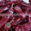 Chinese supplier wholesales export dried red chilli import from china