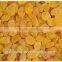 gold raisin with best price and sweet